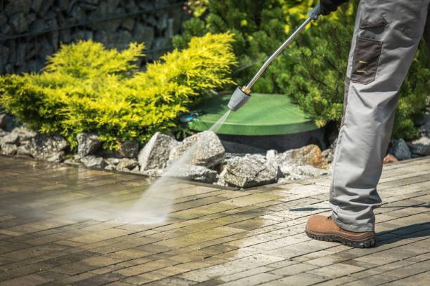 Best Gutter Cleaning  in Waseca, MN