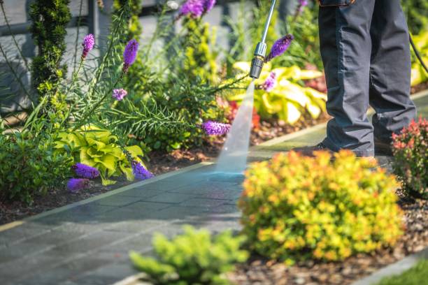 Best Driveway Pressure Washing  in Waseca, MN